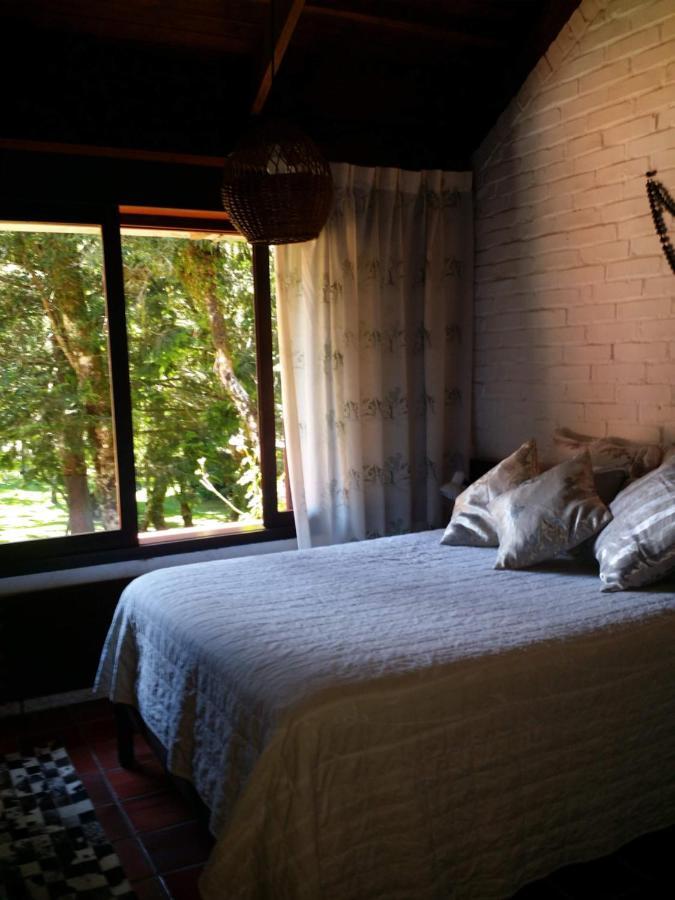 Residencia Utopia Villa São Francisco de Paula Exteriör bild