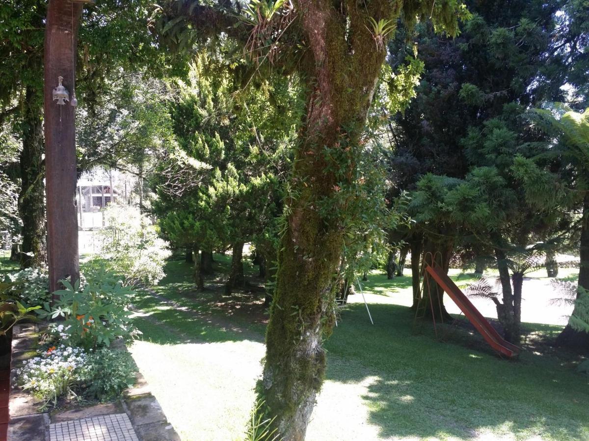 Residencia Utopia Villa São Francisco de Paula Exteriör bild